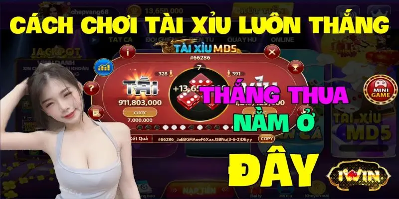 Cách Chơi Tài Xỉu Luôn Thắng Tăng Tỷ Lệ Lên 80% 5 Cách Chơi Tài Xỉu Luôn Thắng – Chiến Thuật Tăng Tỷ Lệ Thắng 80%